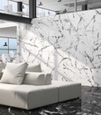 PAMLUXICE-1