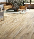 INFNBIRCH-1