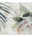 COLKTROEM-1