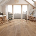 CERAMICA CSL ALAMO NATURAL BRILLANTE C1 (20*61) 1.86 M2