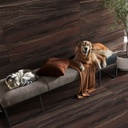 SEMIGRES LUME PALADIO BRONZE 62 POL C1 (62*119) 2.20 MT2