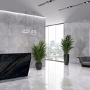 PORC TRN BOSTON SILVER C1 (60*120) 1.44 M2 (32*cj*p)