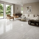 PORCELANATO ECU ROCK WHITE RECT. STD (60*120) 2.16 MT2