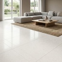 CFIESSGRAY-1