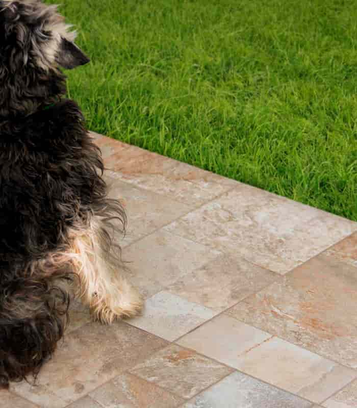 CERAMICA CSL PEDRALVA (61*61) 1.48 MT2