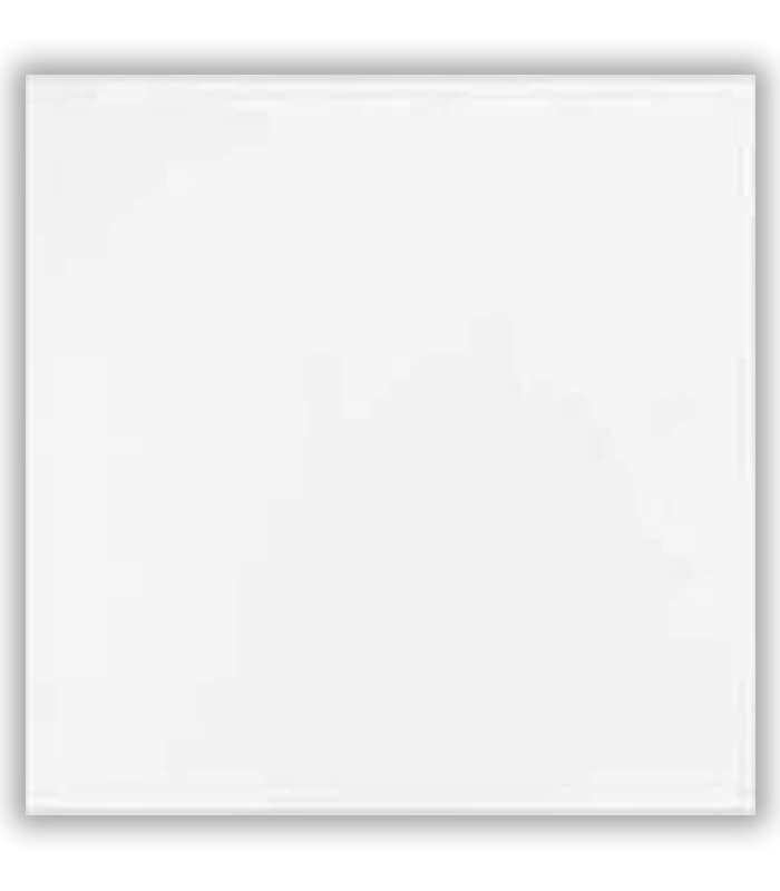 CERAMICA  BLANCO ( 30x30) 1.86M2