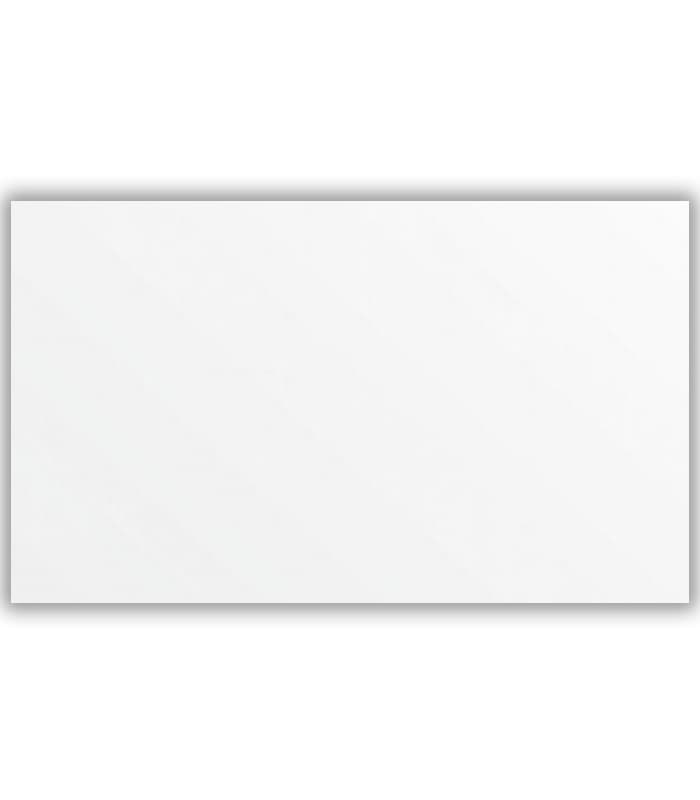 CERAMICA  BLANCO BRILLANTE (24x40) 1.76 MT