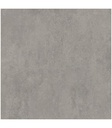 CERAMICA  ELEMENTO CINZA PLUS RT ( 61*61) 2.23 M2