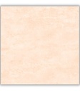 CERAMICA  FARNESE BEIGE BRILLA (60*60) 1.44MT