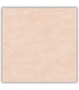 CERAMICA  FARNESE BEIGE BRILLANTE (55x55) 1.815