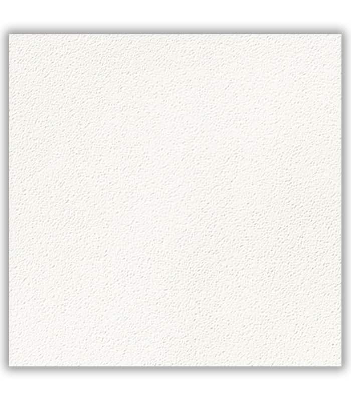 CERAMICA  HD ARTICA BLANCA  ExP (51x51) 1.56M2