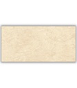 CERAMICA  TANIS BEIGE (24.5*50) 1.96 M2