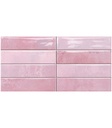 CERAMICA DUALG LUKEN ROSE (30*60) 1.08M2