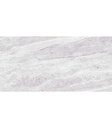CERAMICA EURO ATENAS GRIS  (24.5*50 ) 1.96 MT 51 cjs*P
