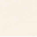 PORCELANATO  IVORY CLARO STD (60x60) 1.80 m2