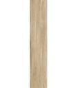 PORCELANATO LAKEVIEW NATURAL MAT (23*120) 