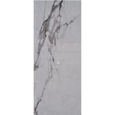 PORC TRN STATUARIO BOTTEGA SILVER C1 (60*120) 1.44 MT2 (68 Cj*P)