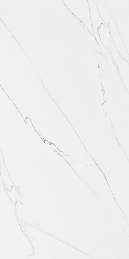 PORCELANATO TREN STATUARIO IRON ORE C1 (60*120) 1.44 M2 (68 Cj*P)
