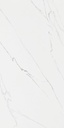 PORCELANATO TREN STATUARIO IRON ORE C1 (60*120) 1.44 M2 (68 Cj*P)