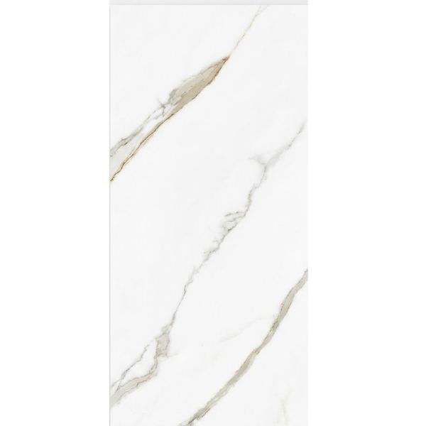 CERAMICA CECAFI ALBURY AC C1 (56*100) 2.25 M2