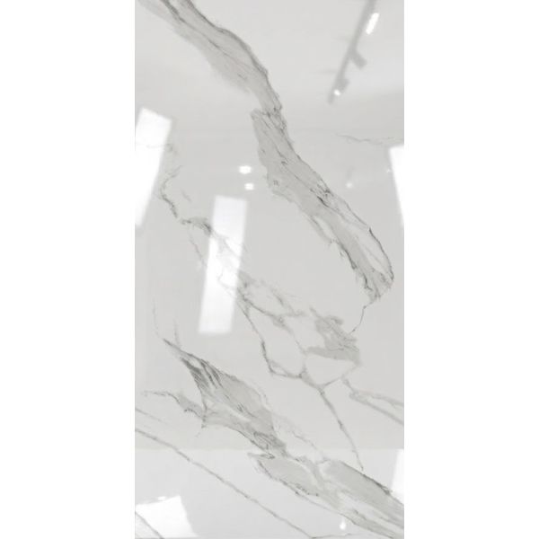 PORC TREN PP143GED C1 (60*120) 2.16M2