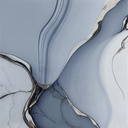 CERAMICA TREN ESJ66LSJ46086 C1 (60*60) 1.80 M2