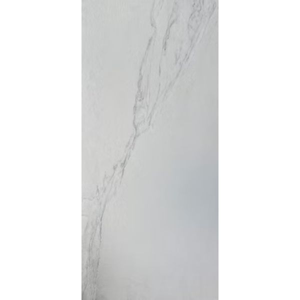 PORC GRA NUUK THINR STD (60*120) 2.88MT
