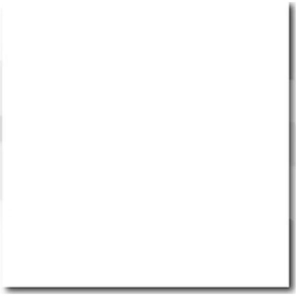 PORCELANATO ECU AGORA BLANCO BRILLANTE RECT TER (60*60) 1.80 MT