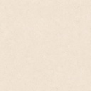 CERAMICA FIORANNO SAN VICENZO WHITE PLUS C1 (90*90) 2.41 M2 (40 CJS*P)