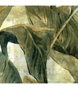 CERAMICA DVI BOTANIC DECOR (20x20)