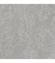 PORCELANATO AZU PORTLAND GREY (119.8*119.8)