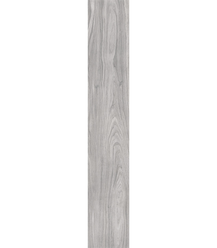 PORCELANATO GIARDINO SGR ACT (20*120)      