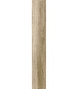 PORCELANATO OAKLAND BEIGE REC STD 19x120 (1.61 m2)