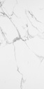 PORC TRN STATUARIO SUPERIOR C1 (60*120) 1.44 M2 (66*cj*p)